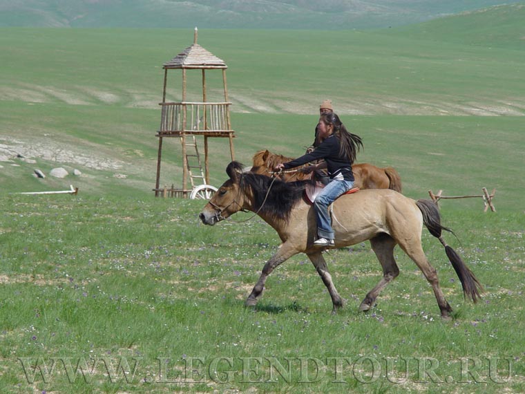 Фотография. Монгольские лошади. Конные туры. Катание на лошадях в Монголии.