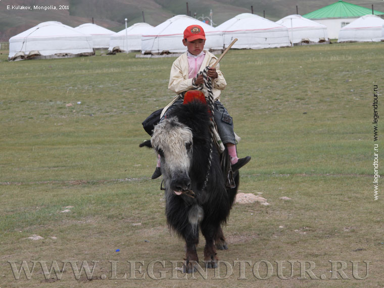 Фотография. Тайхар Чулуу - стоящее посреди поля отдельное скальное образование. Архангайский аймак Монголии.