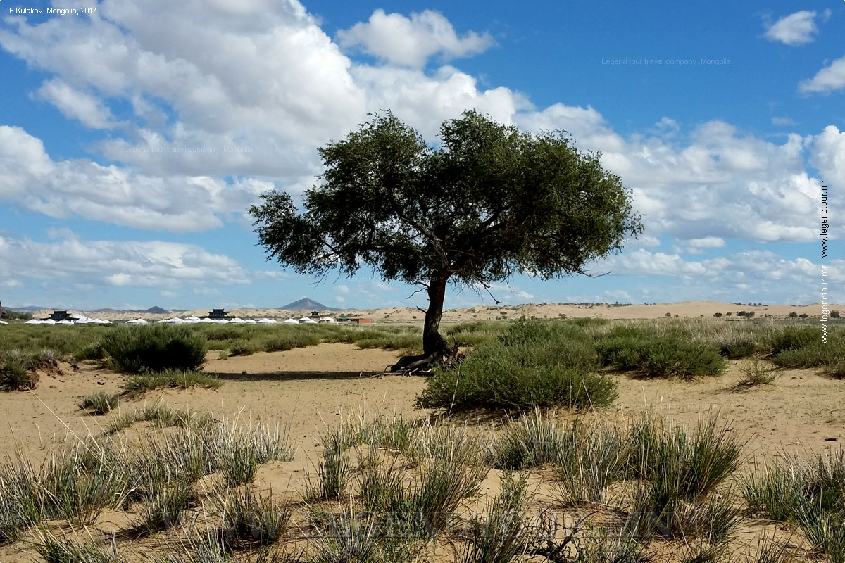 Фотография. Туристическая база Баян Гоби (Баянговь жуулчны бааз). Песчаные дюны Элсэн Тасархай.