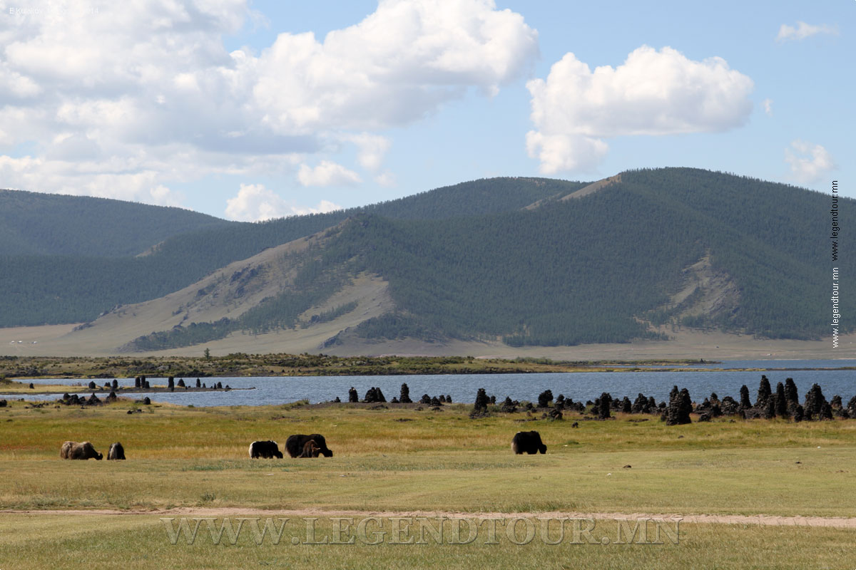 Фотография. Туристическая база Их Хорго. Озеро Тэрхийн Цагаан нуур. Архангайский аймак Монголии.