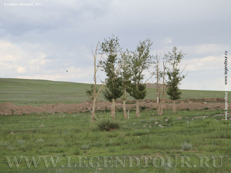 Фотография. Вертолетка. 283 ОВЭ. Сумбер. 10 км. южнее Чойра. Фото Е.Кулаков, 2013 год.