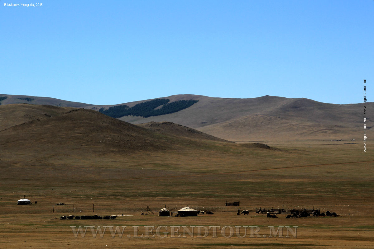 Фотография. В гостях у скотоводов. Кочевники. Монголия.