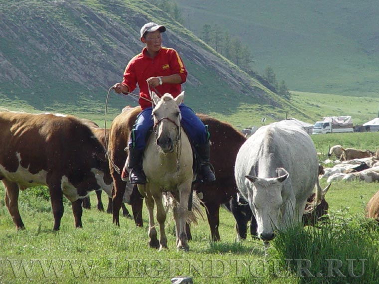 Фотография. Монголия в лицах.