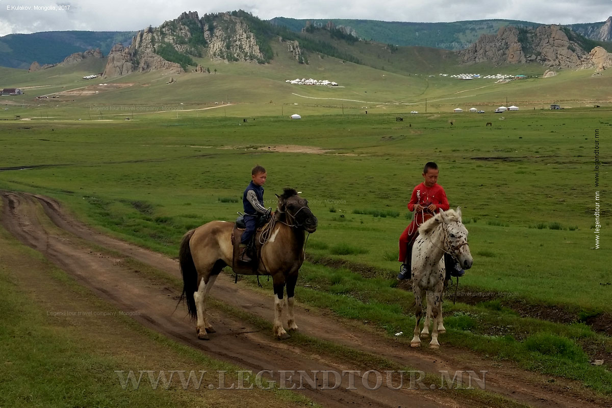 Фотография. Монгольские лошади. Конные туры. Катание на лошадях в Монголии.