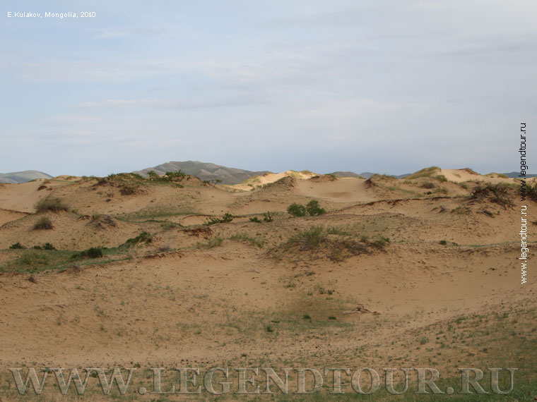 Фотография. Песчаные дюны Молцог Элс (Алтан элс). Центральный аймак Монголии.