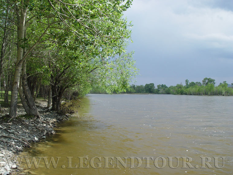 Фотография. Река Тола восточнее Улан-Батора.