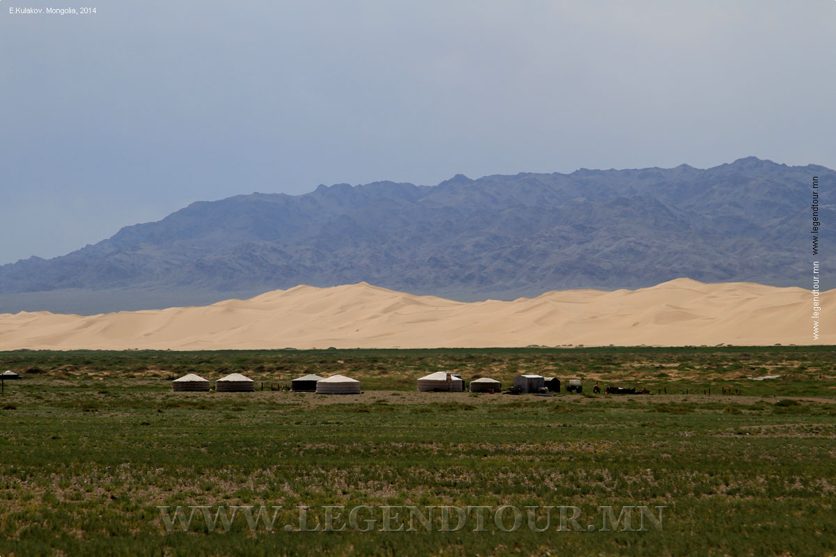 Фотография. Песчаные дюны Хонгорын элс. Южное Гоби.