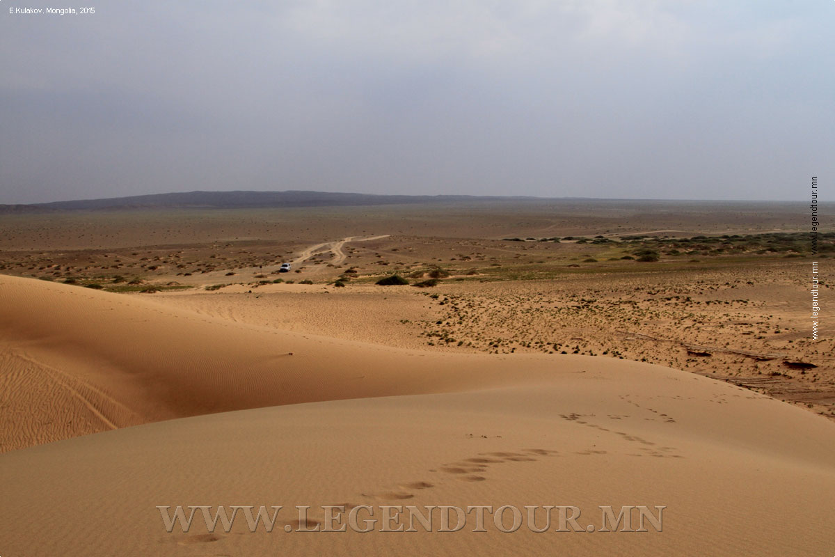 Фотография. Песчаные дюны Хонгорын элс. Южное Гоби. 2015 год.